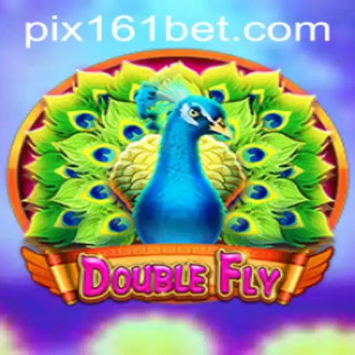 DoubleFly: Exciting Adventure Awaits